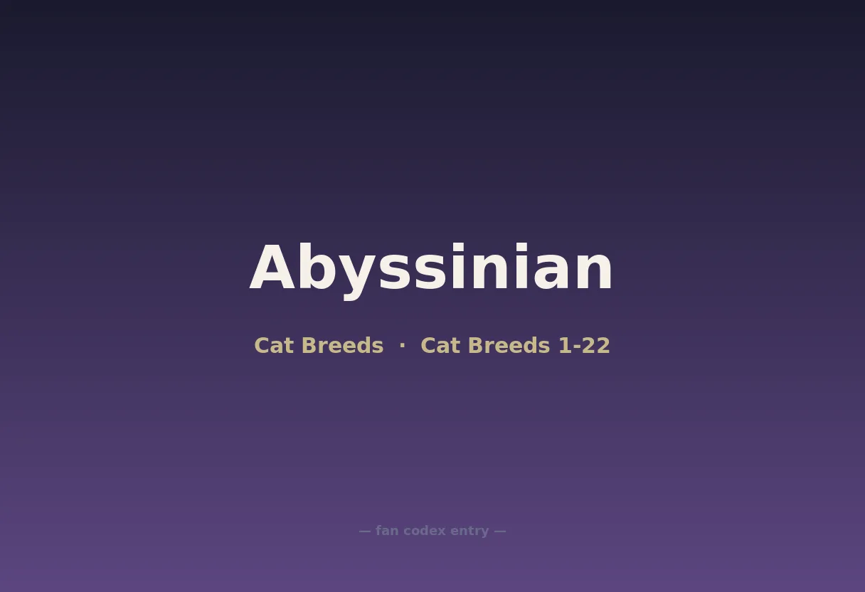 Abyssinian
