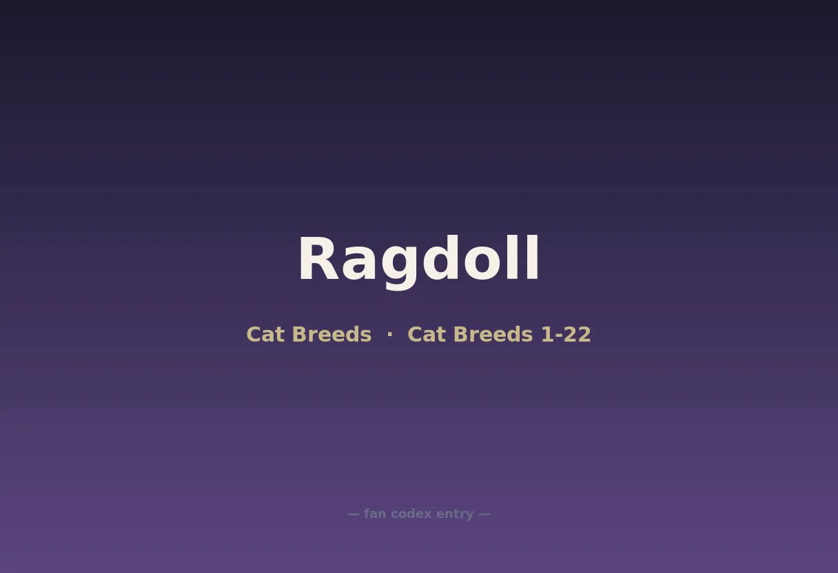 Ragdoll